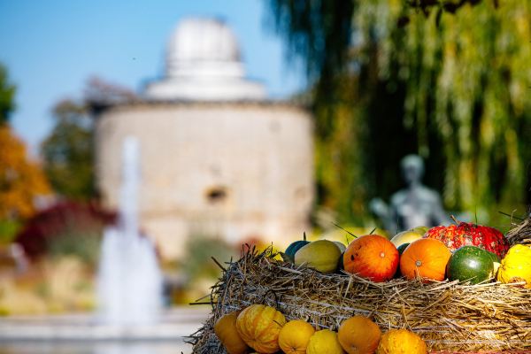 Antalya to Erfurt flight