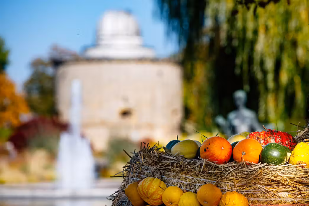 Voos  ${{cityDName}} Eisenach