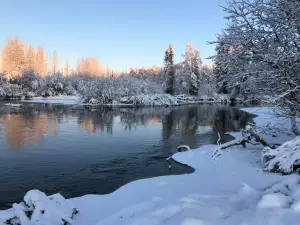 Susitna Landing Boat Launch & Campground Reservations