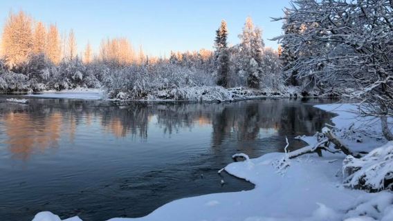 Susitna Landing Boat Launch & Campground Reservations