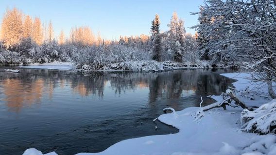 Susitna Landing Boat Launch & Campground Reservations