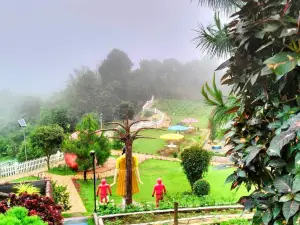 Aningalans Highland Strawberry Garden
