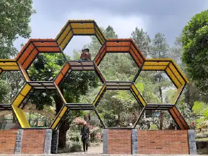 Kaliurang Park Botanical Garden