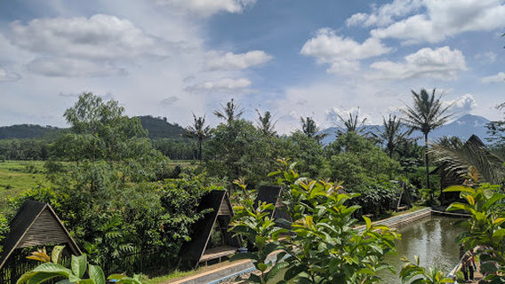 Taman edukasi D'Embung Park Pandanmulyo
