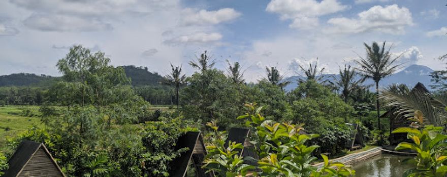 D'Embung Park Pandanmulyo