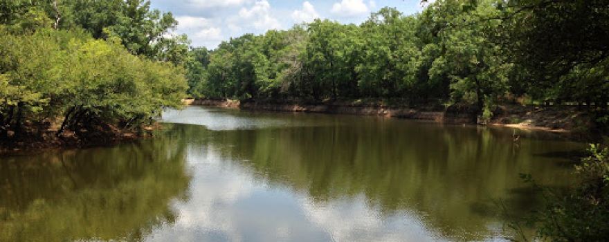 D'Arbonne National Wildlife Refuge