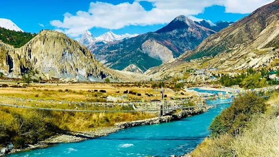 Tanki Manang