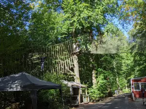 Kletterwald Spessart