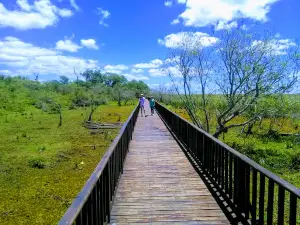 Iberá Wetlands