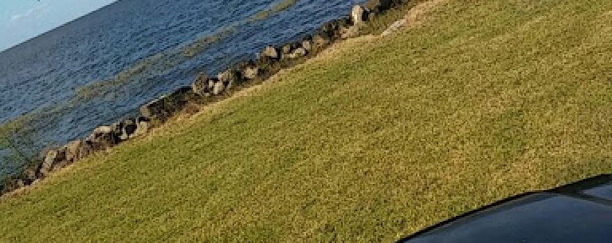 Palm Beach County Park Maintenance