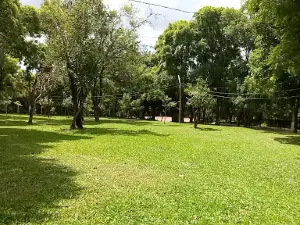 Parque Da Fenamate