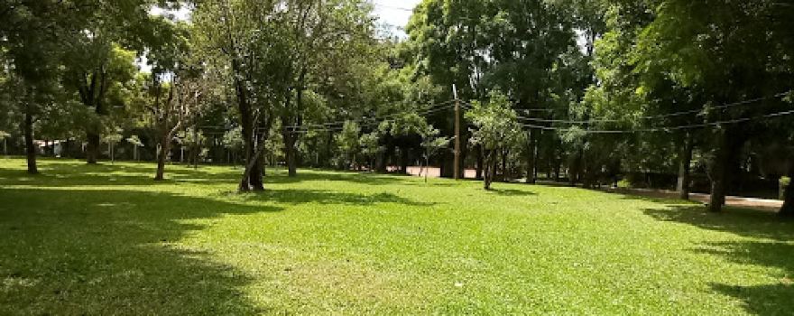 Parque Da Fenamate