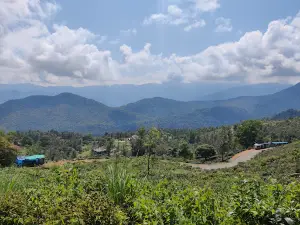 Ponmudi Hill