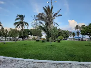 Parque Belvedere