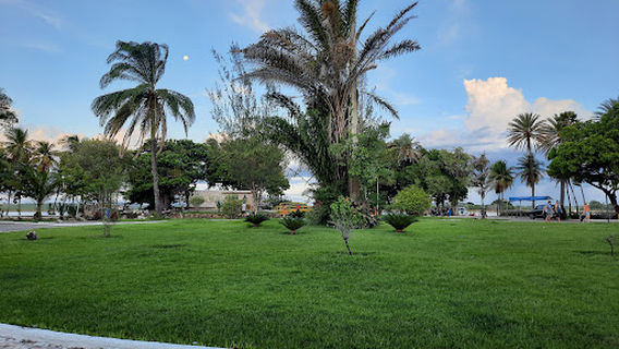 Parque Belvedere