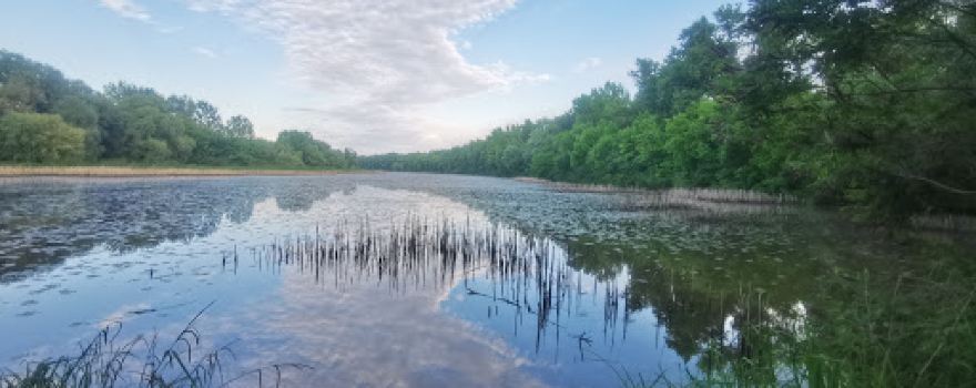 Tiszasűlyi-Holt-Tisza