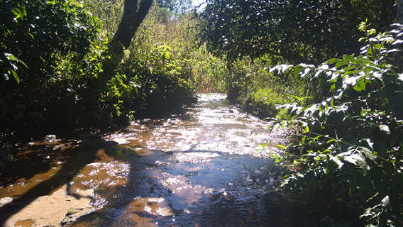 Municipal "Yvy Porá" Botanical Garden