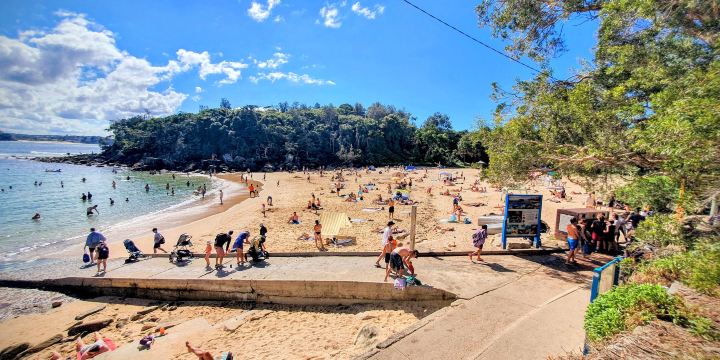 Shelly Beach