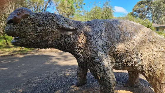 納拉寇特洞穴國家公園