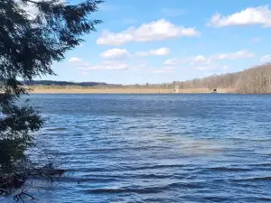 Prince Gallitzin State Park