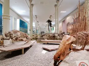 Naturkundemuseum Karlsruhe