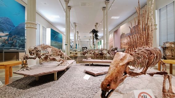 Naturkundemuseum Karlsruhe