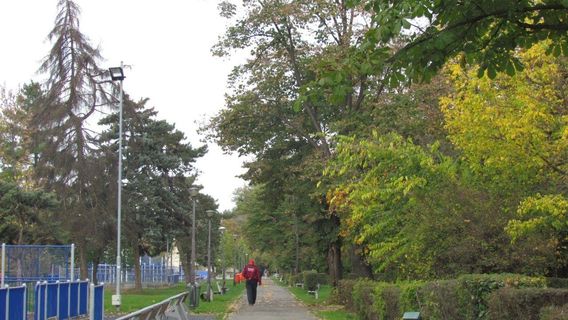 Ion C. Bratianu Park