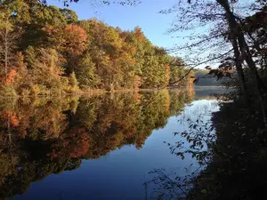 Burke Lake Park