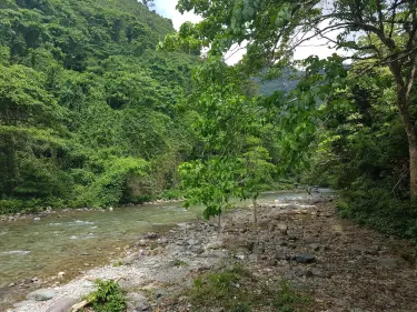 Bonao