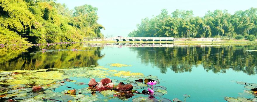 Gulawat Lotus Lake