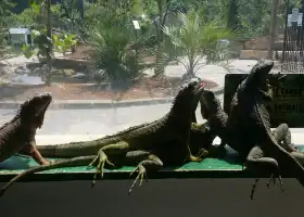 San Antonio Aquarium