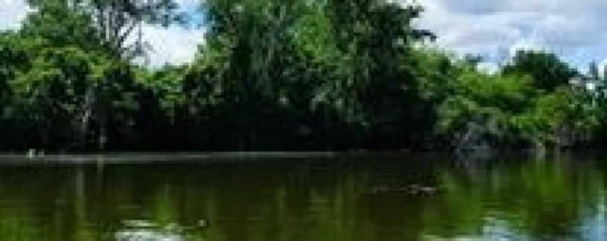 Skokie Lagoons