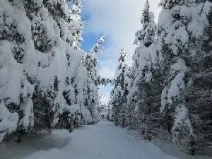 Osceola Tug Hill Cross Country Ski Center Inc.