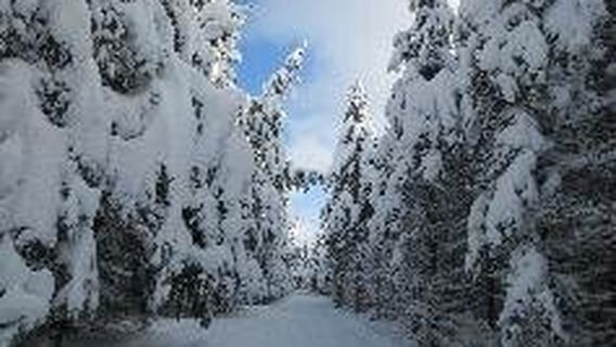 Osceola Tug Hill Cross Country Ski Center Inc.