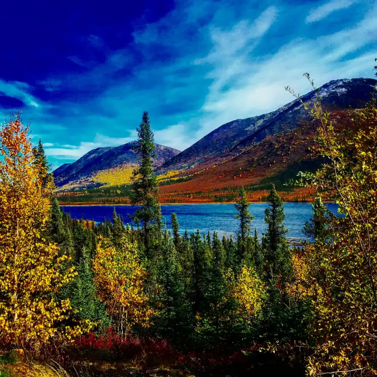Hotel di Yukon-Koyukuk