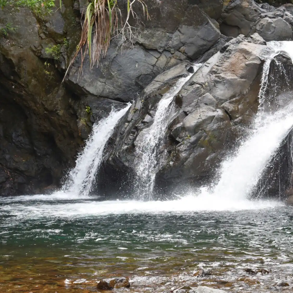 Hotels near Estrella Falls