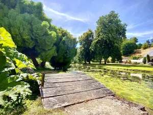Plessis Sasnières Garden