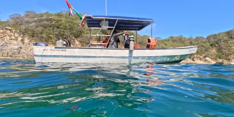 Hurricane Divers