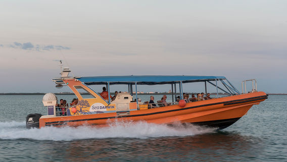 Sea Darwin - Sea Tiwi