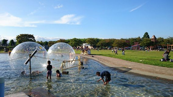 Lake Biwa Kodomonokuni