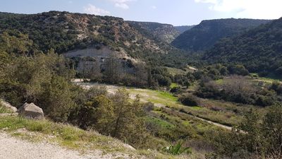 Avakas Gorge Nature Trail
