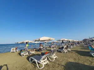 Finikoudes Beach