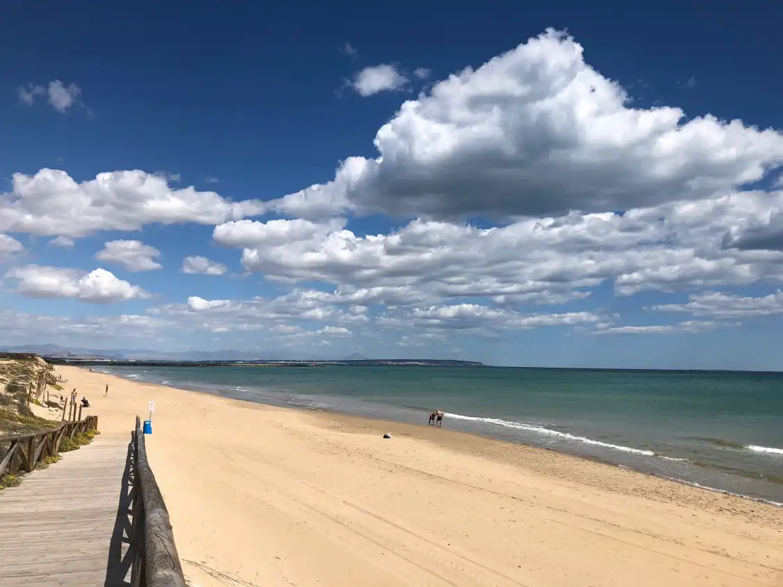 Hotels near La Mata Beach