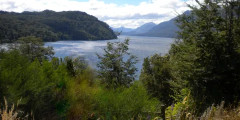 Monumento Natural Cerro Ñielol