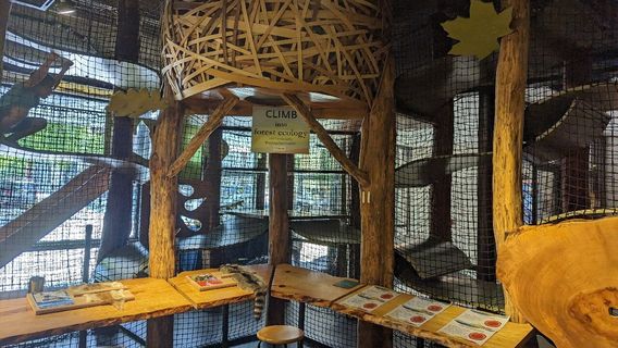 Asheville Museum of Science