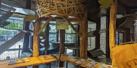 Asheville Museum of Science