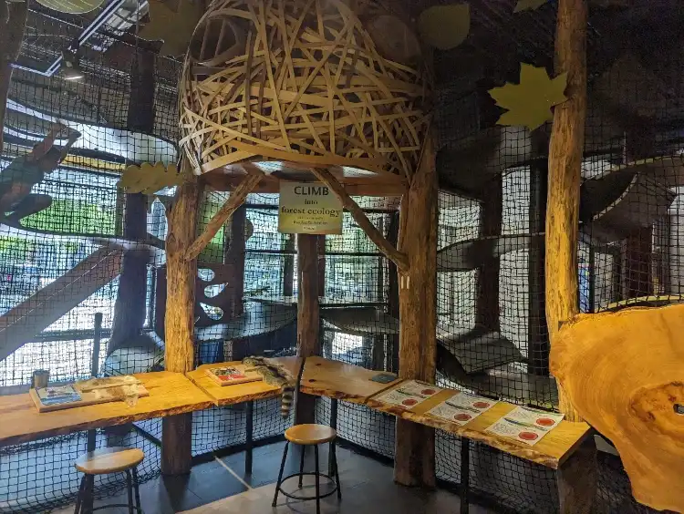 Hotels near Asheville Museum of Science