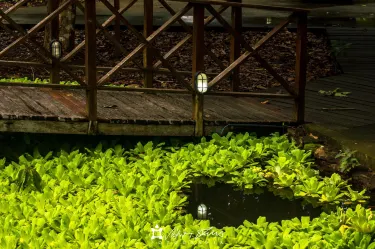 Museum of Archeology and Ethnology of the Federal University of Bahia