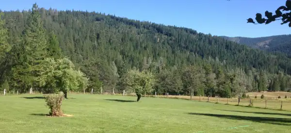 Hotels in Trinity County