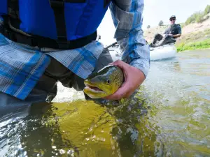 Vail Valley Anglers
